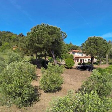Villa Vanna Trilo -Quadrilocale Capoliveri Kültér fotó